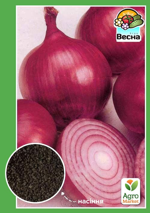 Лук "Веселка" ТМ "Весна" 1г