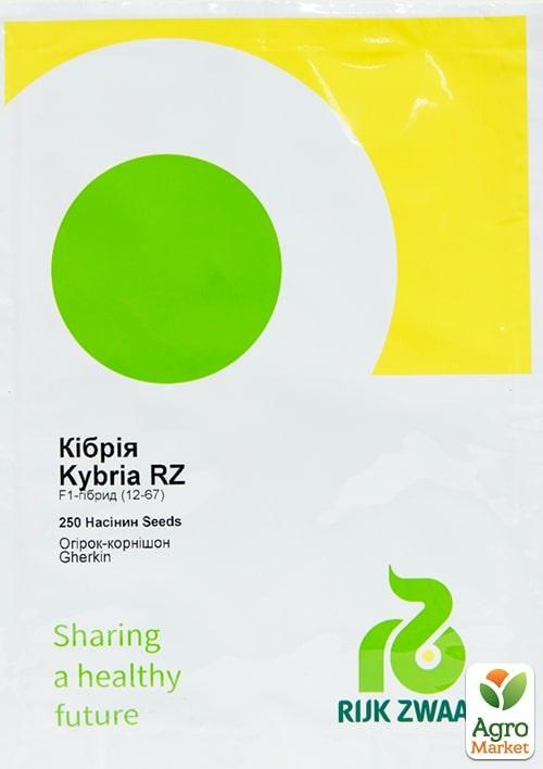 Огурец "Кибрия F1" ТМ "RIJK ZWAAN" 1000шт