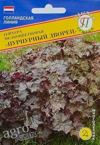 Гейхера мелкоцветковая "Пурпуровий палац" ТМ "Престиж насіння" 10шт