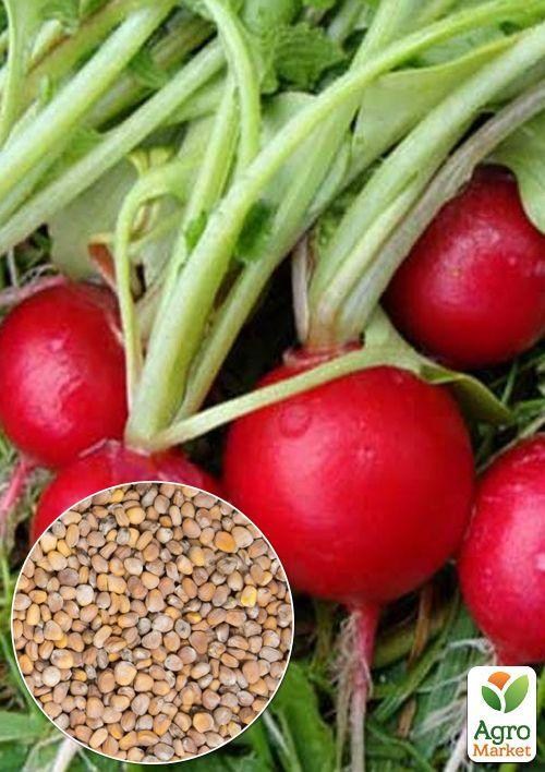 На развес Редис "16 дней" ТМ "Весна" цена за 10г