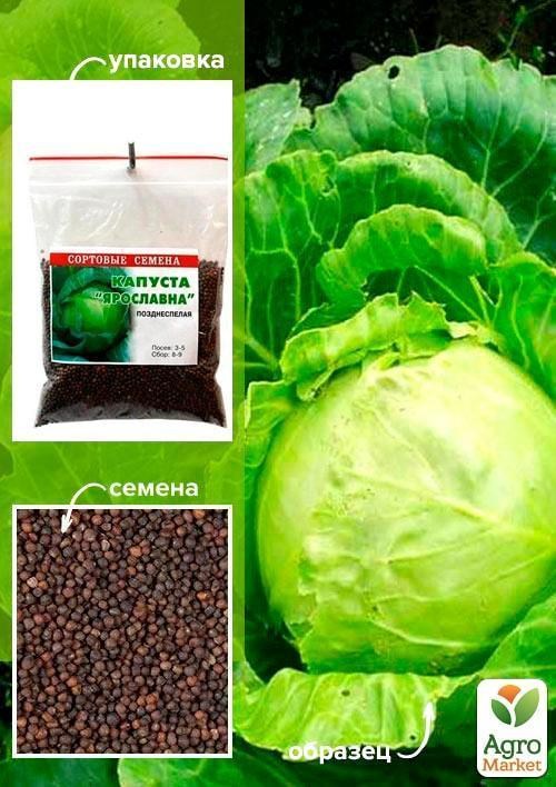 Капуста "Ярославна" ТМ "Весна" 100г