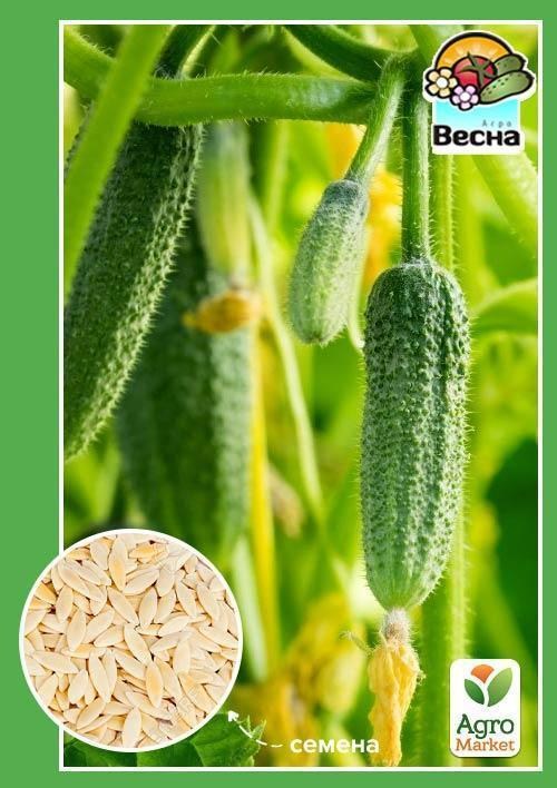 Огурец "Монастырский" ТМ "Весна" 0.5г