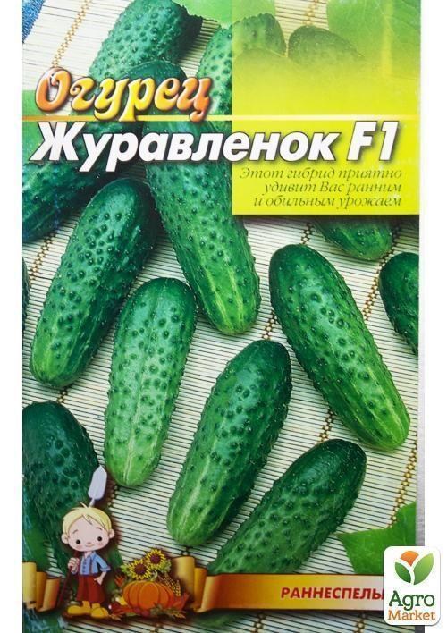Огірок "Журавлик F1" (Великий пакет) ТМ "Весна" 1.5г - фото 2