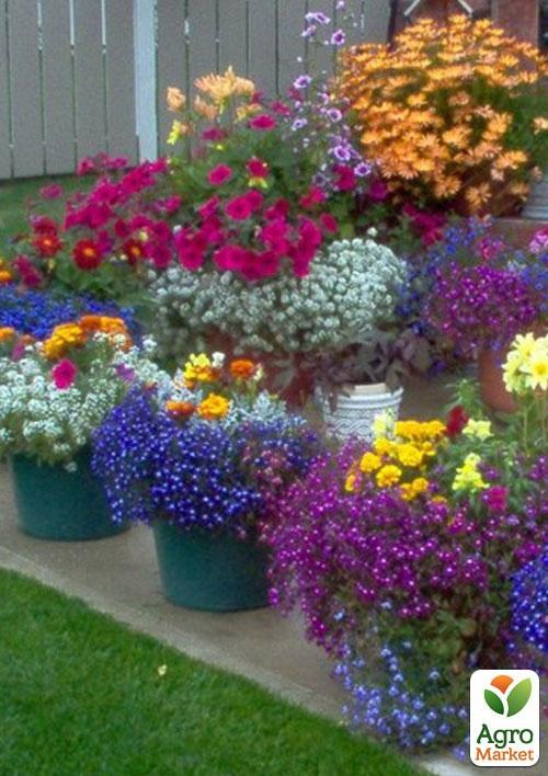 Комплект семян цветов на развес "Утреняя радость" 7уп