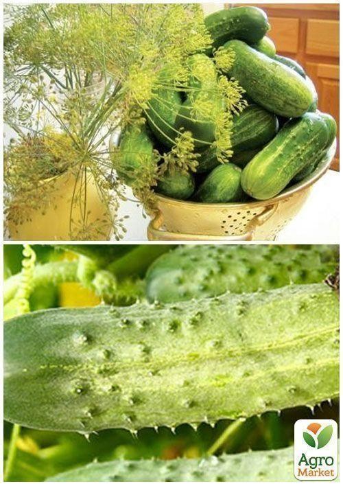 На развес Огурец "Засолочный" ТМ "Весна" цена за 2г - фото 2