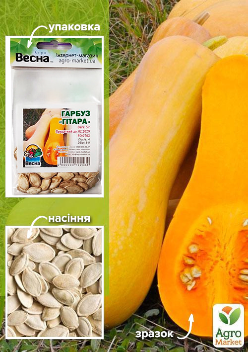 Гарбуз "Гітара" (Зипер) ТМ "Весна" 5г