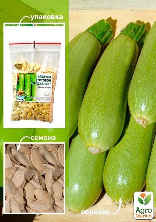 Кабачок "Красунчик" ТМ "Весна" 100г