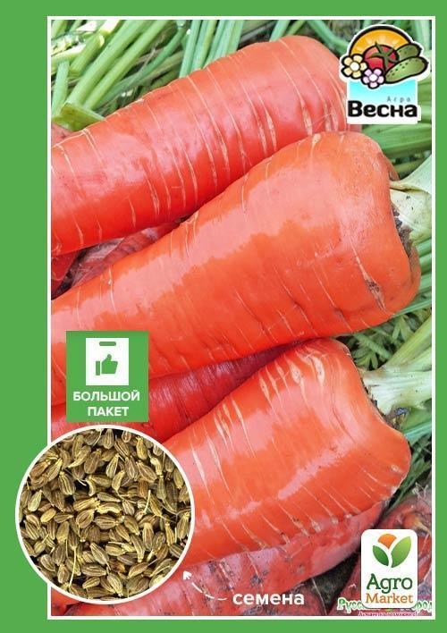 Морква "Московська зимова" (Великий пакет) ТМ "Весна" 7г