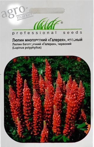Люпин многолетний "Галерея" красный ТМ "Hem Zaden" 0.4г