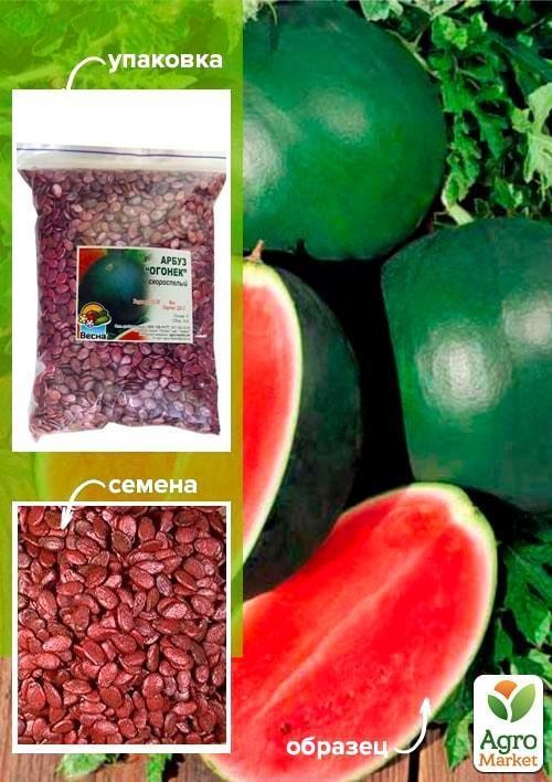 Арбуз обработанный "Огонёк" ТМ "Весна" 500г
