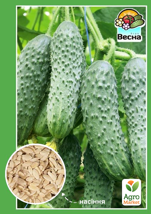 Огурец "Титус F1" ТМ "Весна" 0.5г