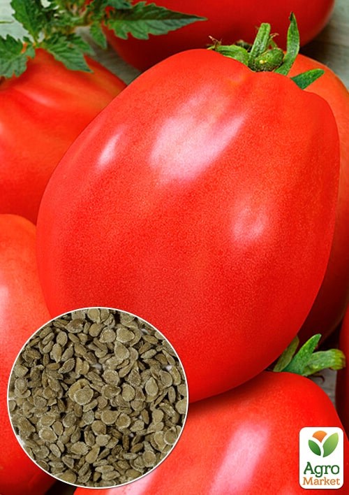 Томат "Лагидный" (Зипер) ТМ "Весна" 0,5г
