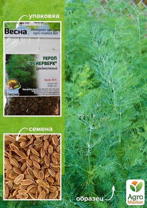 Укроп "Фейерверк" (Зипер) ТМ "Весна" 7г