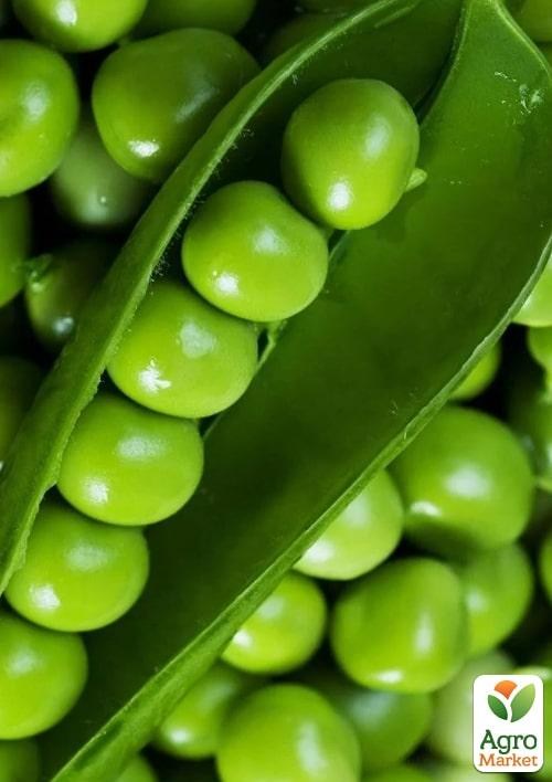 Горох овочевий "Кінгсайз" ТМ "Lark Seeds" 100000шт