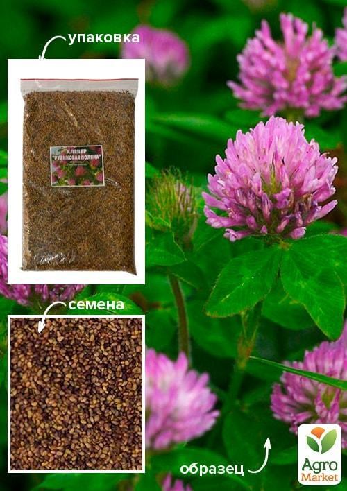 Конюшина "Рубінова галявина" ТМ "Весна" 500г