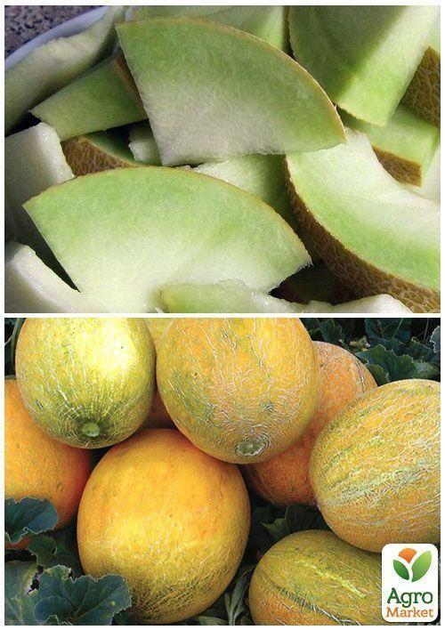На развес Дыня "Титовка" ТМ "Весна" цена за 6г - фото 3