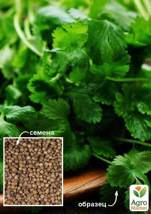 Кориандр "Король рынка" ТМ "Весна" 100г