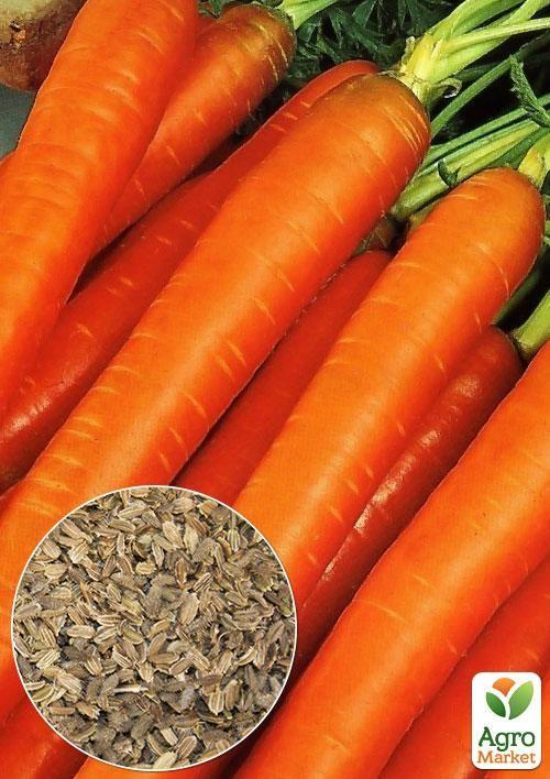 На вагу Морква "Нантська" ТМ "Весна" ціна за 10г