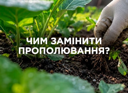 Чем заменить прополку?