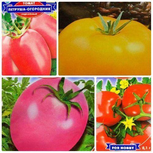 Комплект семян томатов "Томатный марафон" 5уп