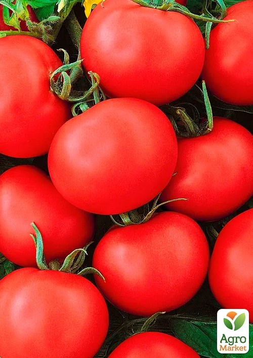 На развес Томат "Тамина" ТМ "Весна" цена за 1г - фото 2