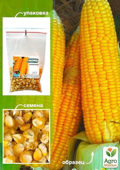 Кукурудза "Лакомка" ТМ "Весна" 100г