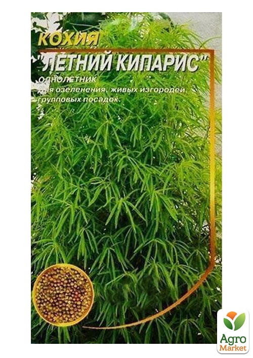 Кохія "Літній кипарис" ТМ "Весна" 0.3г - фото 2