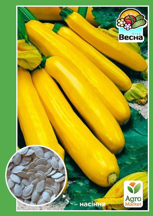Кабачок-цукіні "Світозар" ТМ "Весна" 2г