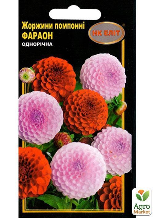 Георгина помпонная "Фараон" ТМ "НК ЭЛИТ" 0.3г