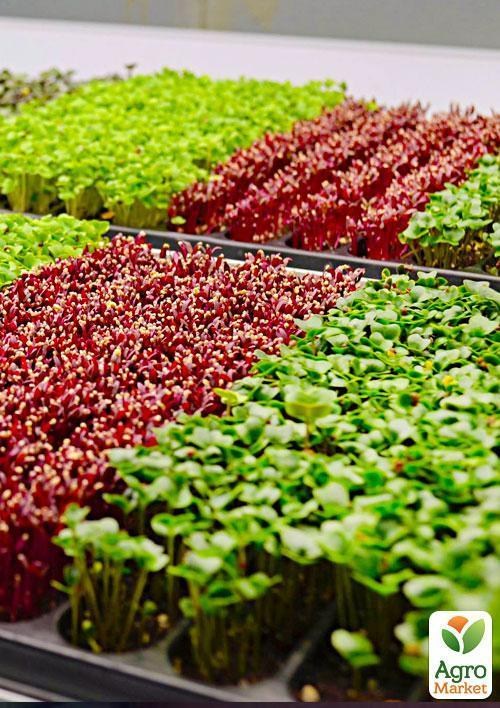 Проращиватель (спраутер) для семян и микрозелени  ТМ "ProVita" - фото 3