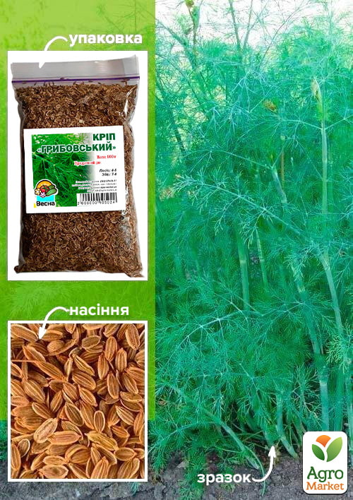 Укроп "Грибовский" ТМ "Весна" 100г