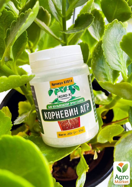 Био катализатор роста "КОРНЕВИН АГР" Лимитированная серия ТМ "AGRO-X" 20г