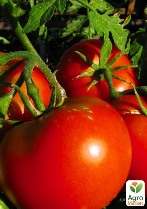 Томат "Глаша" ТМ "Vesna Select" 0.2г