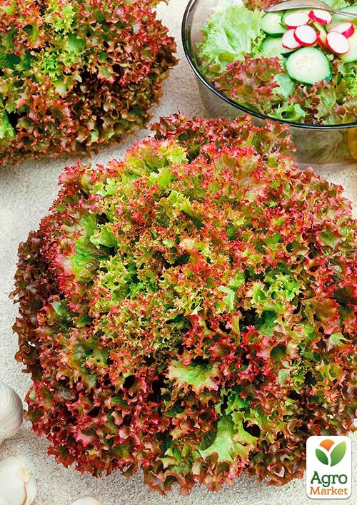 Салат "Княжич" ТМ "Весна" 100г