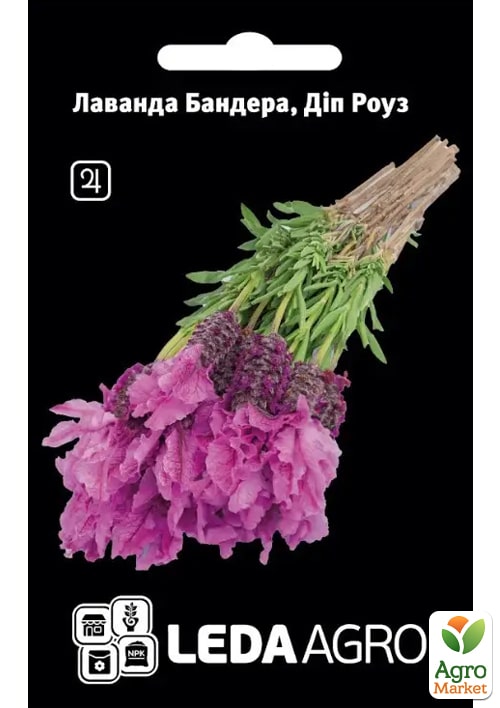 Лаванда Бандера "Дип роуз"  ТМ "Leda Agro" 5шт
