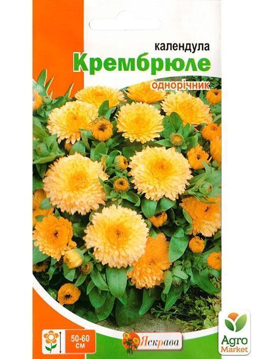 Календула "крем-брюле" ТМ "Яскрава" 0.5г