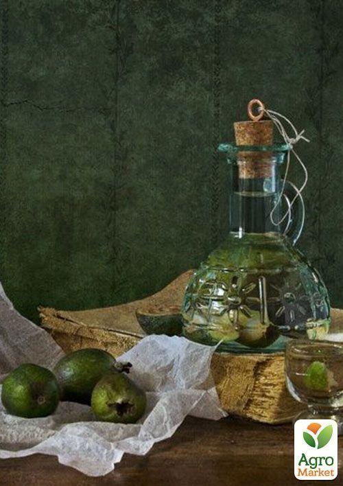 Фейхоа зеленая "Король Жоан" (King Joan) - фото 3