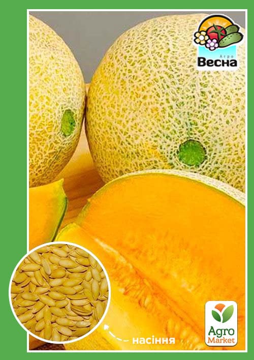 Диня "Капучіно" (Новий пакет) ТМ "Весна" 1.5г