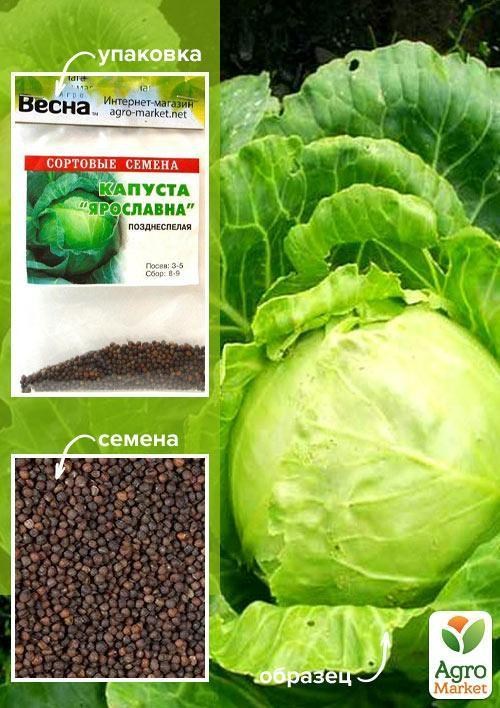 Капуста "Ярославна" (Зипер) ТМ "Весна" 3г