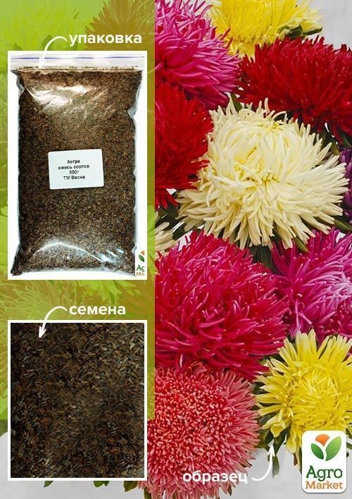 Астра смесь сортов ТМ "Весна" 500г NEW