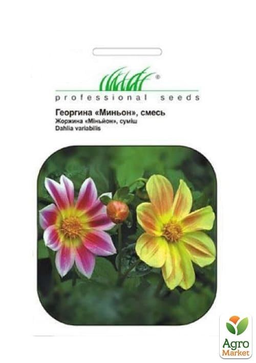 Георгина "Миньйон смесь" ТМ "Hem Zaden" 0.2г