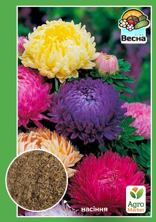 Айстра "Карликова суміш" ТМ "Весна" 0.2г