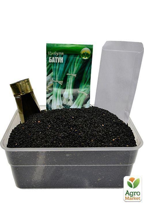 На развес Лук "Батун" ТМ "Весна" цена за 3г - фото 3