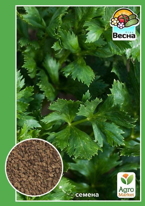 Сельдерей "Листовой Зефир" ТМ "Весна" 0.3г