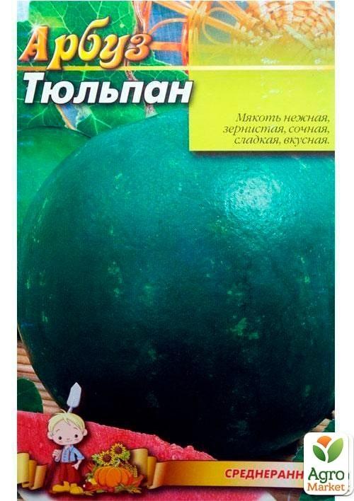 Кавун "Тюльпан" (Великий пакет) ТМ "Весна" 4г - фото 2