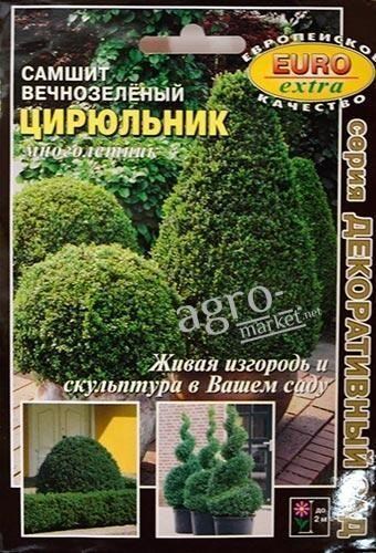 Самшит вічнозелений "Цирульник" ТМ "АЕЛІТА" 6шт