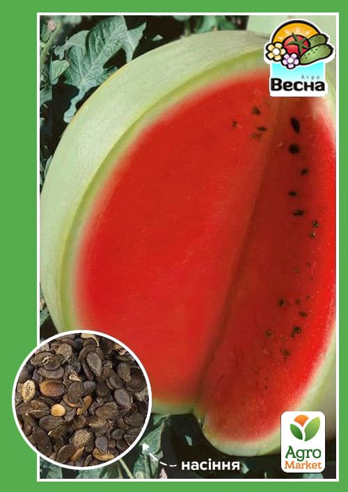 Кавун "Сніжок" ТМ "Весна" 1.5г