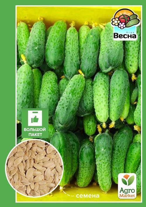 Огірок "Пальчик" (Великий пакет) ТМ "Весна" 2г