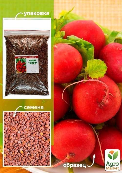 Редис "Жара" ТМ "Весна" 500г