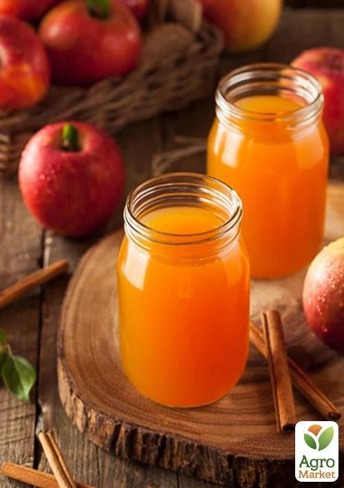 Яблуня "Катерина" (зимовий сорт, пізній термін дозрівання) - фото 4